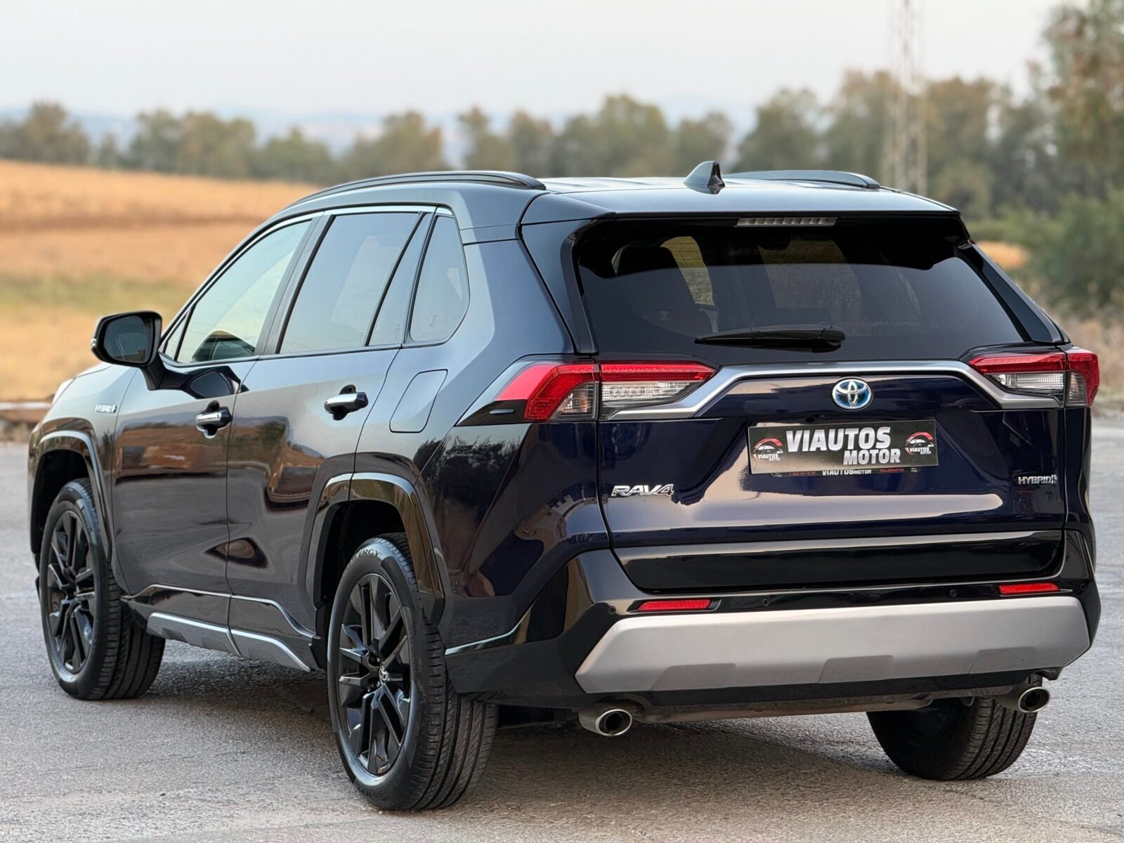 TOYOTA Rav4 Luxury