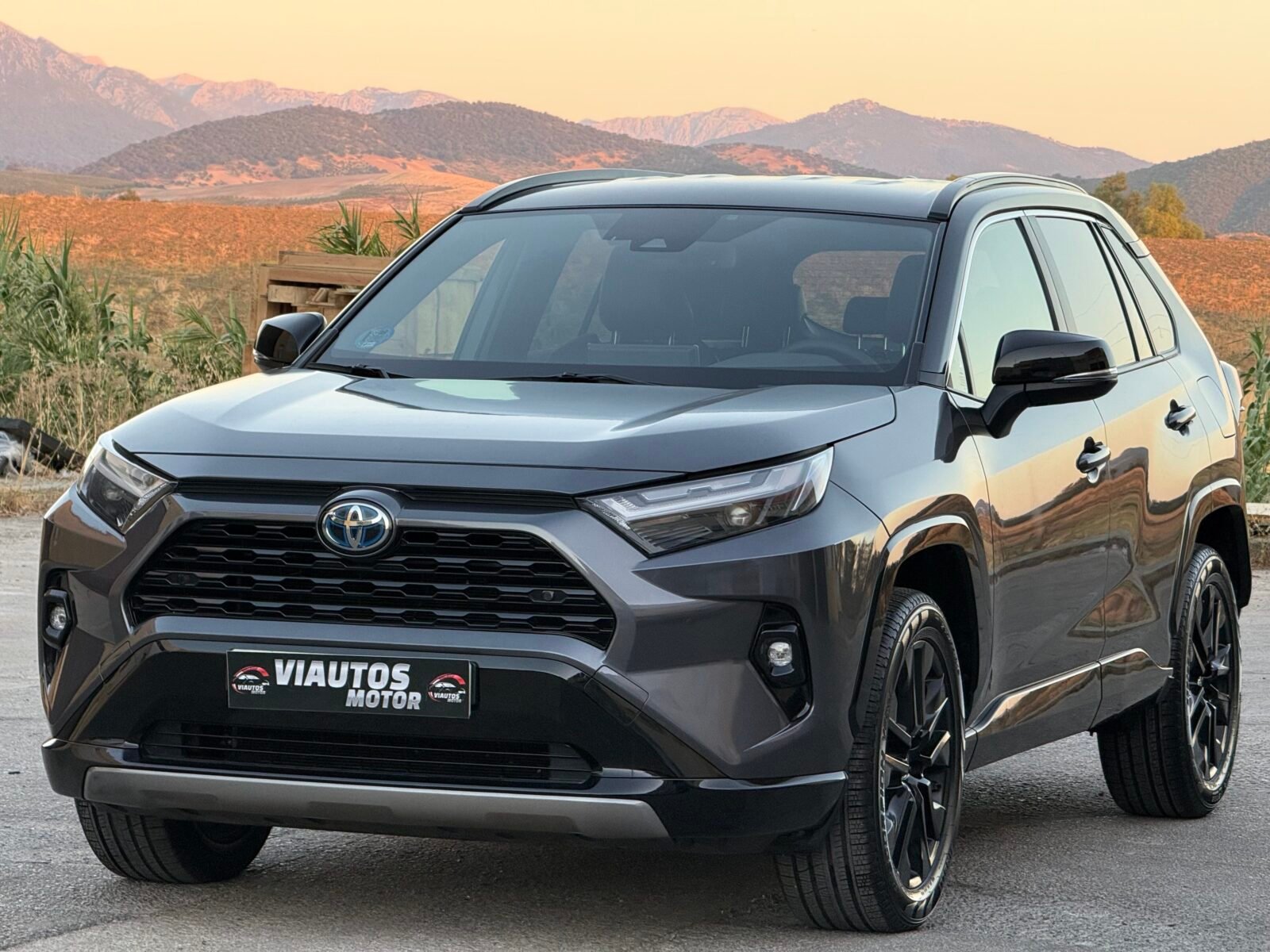 TOYOTA Rav4 Style