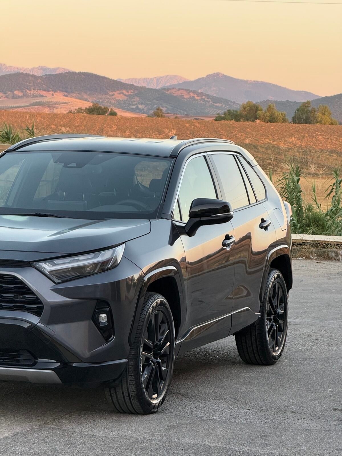 TOYOTA Rav4 Style